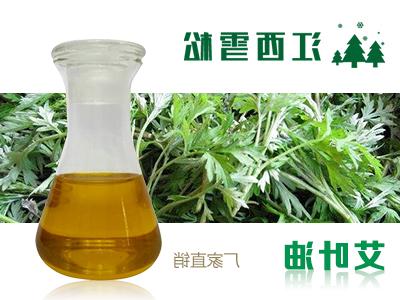 Mugwort oil