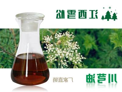 Ligusticum chuanxiong oil