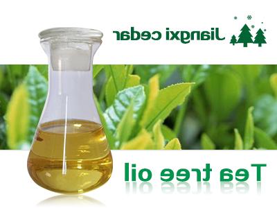 Introduction to the processing process of litsea cubeba oil